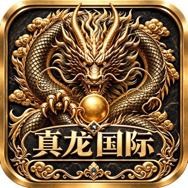 真龙国际